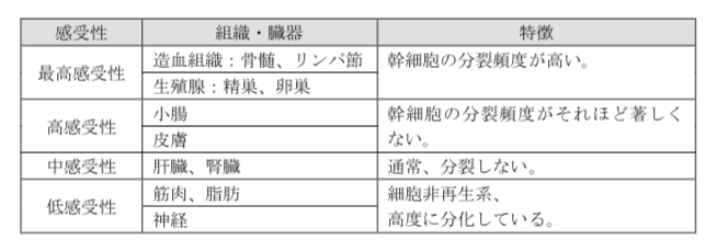 解説画像